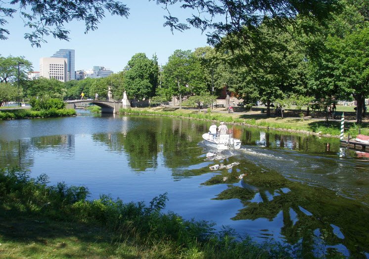 Upper Charles River Reservation, Massachusetts, USA